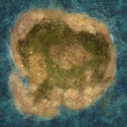 Island 48" x 48"